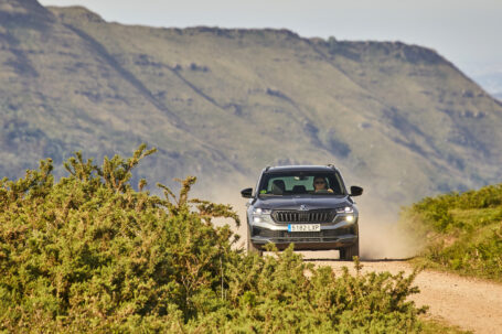 Renovado SKODA KAROQ