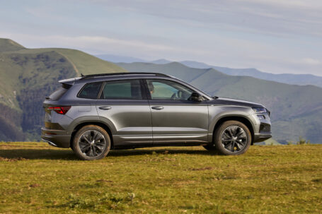 Renovado SKODA KAROQ