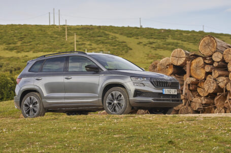 Renovado SKODA KAROQ