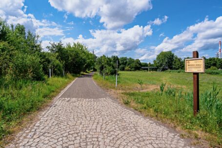 Día Internacional de la Diversidad Biológica: Škoda Auto apoya las medidas de protección medioambiental y sostenibilidad en todo el mundo