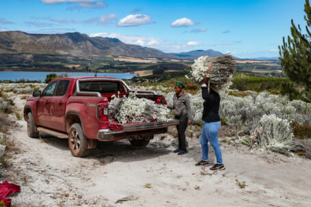 Nuevo Amarok: llega a España el pick-up de primera clase