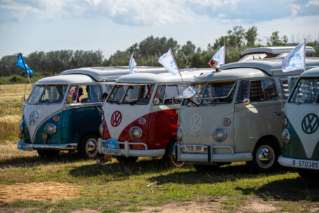 FurgoVolkswagen 2025