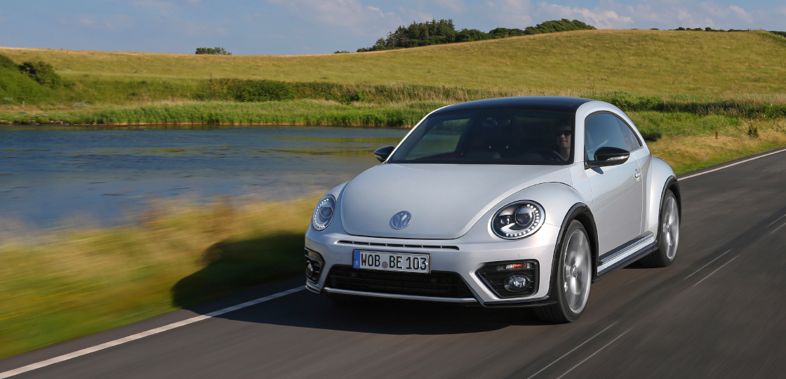 Beetle