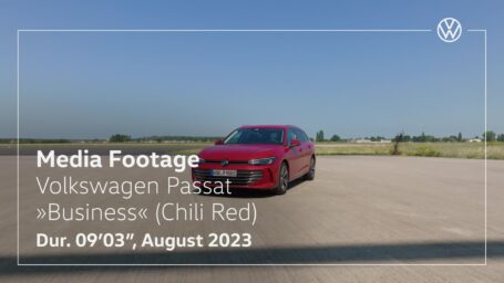 Passat Buisness (1)